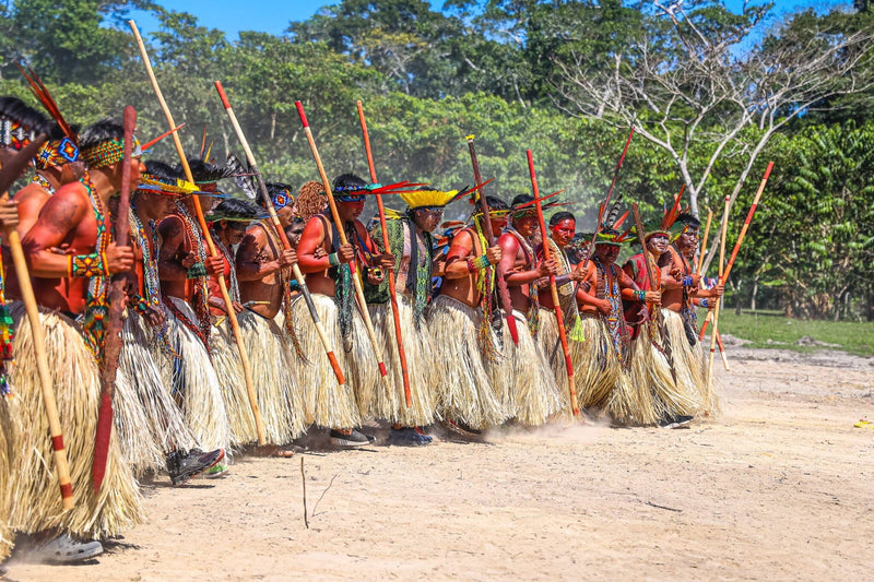 | Povo Noke Koi / Katukina - Acre